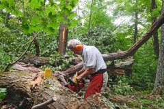 Chainsawing a log on the trail