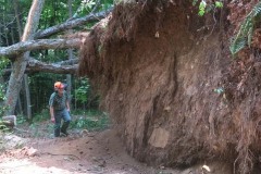 A hiker checks an uprooted tree