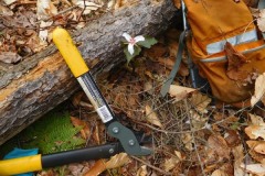 Loppers and a pack - tools of the trade