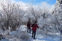Winter Hiking